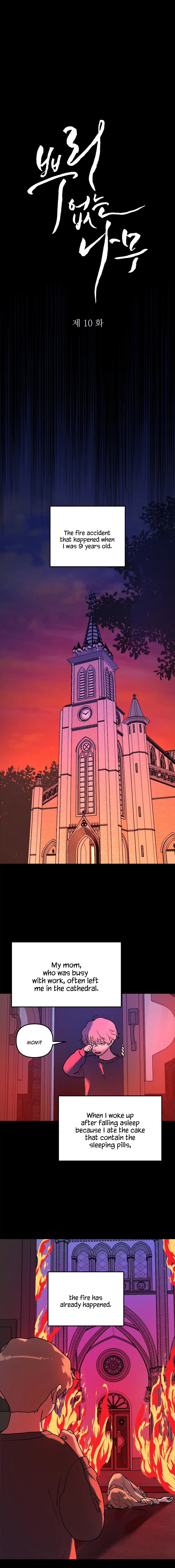 A Tree Without Roots - Chapter 10 - Page 3